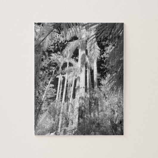 Native Royal Palms in Fakahatchee Strand Puzzle (Vertikal)