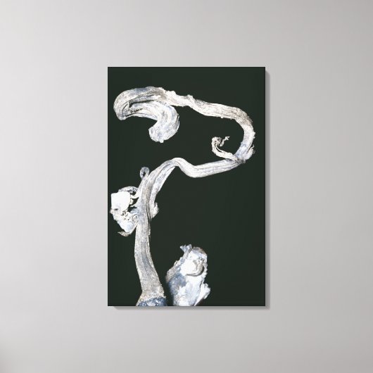 Native Silver Leinwanddruck (Vorderseite)