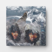 Native Spirit in Alaska Fotoplatte (Vorderseite)