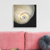 Natizide Muschel Leinwanddruck (Insitu (Wohnzimmer))