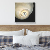 Natizide Muschel Leinwanddruck (Insitu (Schlafzimmer))