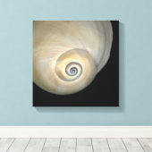 Natizide Muschel Leinwanddruck (Insitu (Holzboden))