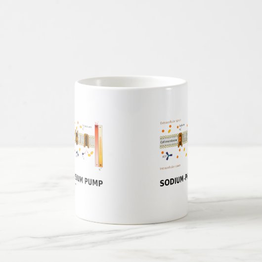 Natrium-Kaliumpumpe (aktiver Transport) Kaffeetasse (Mittel)