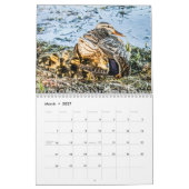 NATUR 12 - Monat 2022 - Saisonkalender Kalender (Mär 2027)