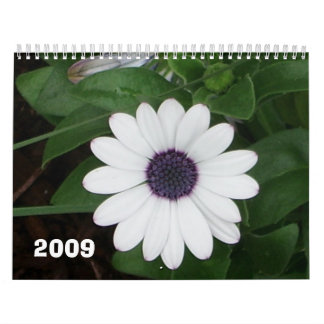 Natur 2009 kalender