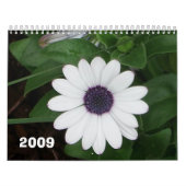 Natur 2009 kalender (Titelbild)