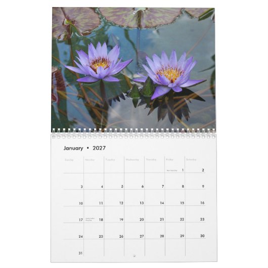 Natur 2013 kalender (Jan 2027)