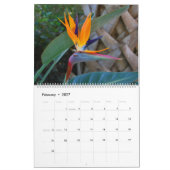 Natur 2016 kalender (Feb 2027)