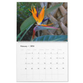 Natur 2016 kalender (Feb 2026)