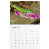 Natur 2016 kalender (Jan 2027)