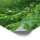 Natur-Bahn-Plakat Poster (Ecke)