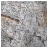 Natur-Baum-Barken-Foto Stoff (Nahaufnahme)