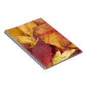 Natur Blätter Herbst Tree Leaf Farbenfrohe Kunst Notizblock (Rechte Seite)