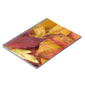 Natur Blätter Herbst Tree Leaf Farbenfrohe Kunst Notizblock (Linke Seite)