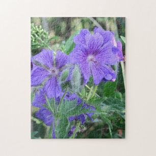 Natur, Blume, Sommer, lila, Blüte, Puzzle