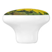 Natur, Blume, Sommer, Sonnenblumen, Blumen Keramikknauf (Seitenansicht)