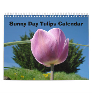 Natur Blumen Kalender Sonniger Tag Tulpen Blumen