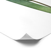 Natur, botanischer Ausdruck, Blume-Art-Poster von Poster (Ecke)