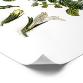 Natur, botanischer Ausdruck, Blume von Lemon Balm Poster (Ecke)