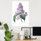 Natur, botanischer Ausdruck, Blume von Lilac Poster (Heimbüro)