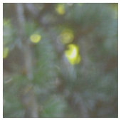 Natur Buddha Stoff (Nahaufnahme)