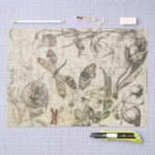 Natur-Collage Seidenpapier (Handwerk)