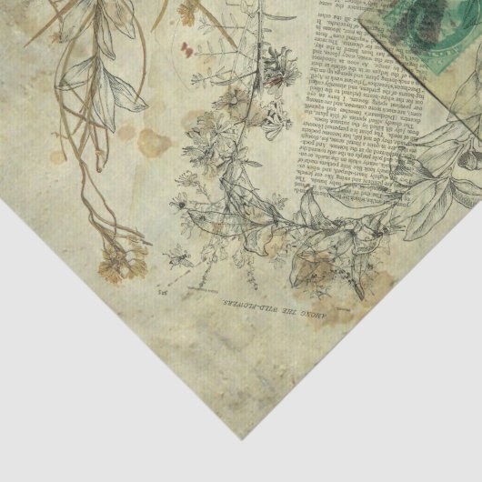 Natur-Collagen-Seidenpapier Seidenpapier (Detail)