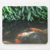 Natur coole Koi Fische in der Mousepad (Vorne)
