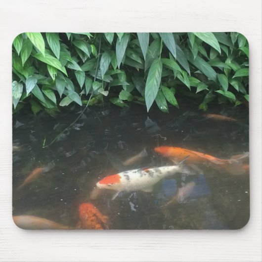 Natur coole Koi Fische in der Mousepad (Vorne)