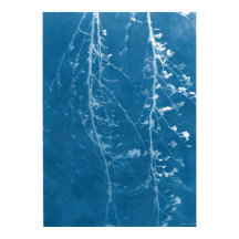Natur Cyanotypie in Blau Druck & Digital Download