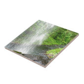 Natur-Dusche Fliese (Seite)