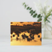 Natur - Enten bei Morgengrauen Postkarte (Stehend Vorderseite)