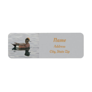 Natur-Enten-Foto Männliche Pfeifente auf Wasser