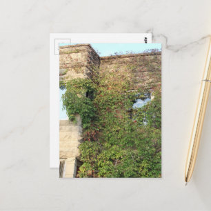 Natur erobert verlassenes Gebäude in Illinois Postkarte