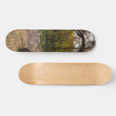 Natur erreicht skateboard (Horizontal)