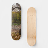 Natur erreicht skateboard (Vorderseite)