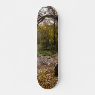 Natur erreicht skateboard