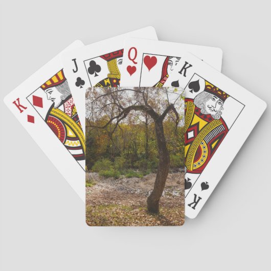 Natur erreicht spielkarten (Rückseite)