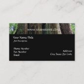 Natur/Evergreen Old Tall Tree Naturalist Visitenkarte (Rückseite)