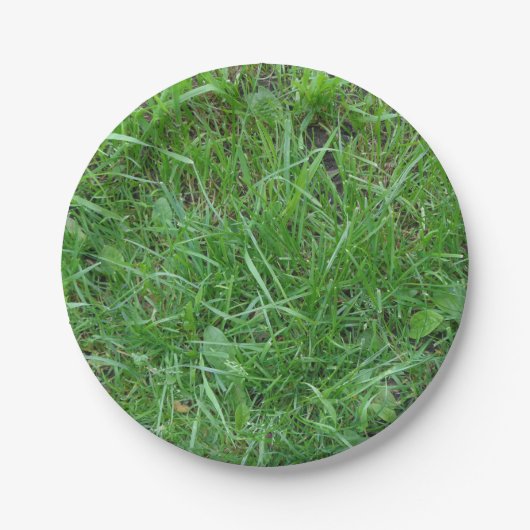 Natur, Flecken des Grases, Pappteller (Vorderseite)