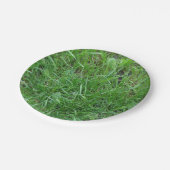 Natur, Flecken des Grases, Pappteller (Schrägansicht)