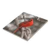 Natur Fliese (Seite)