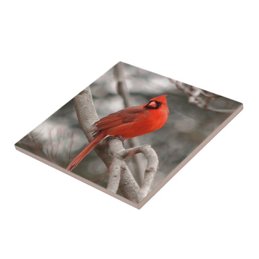 Natur Fliese (Seite)