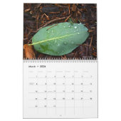 Natur-Foto Kalender (Mär 2026)