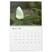 Natur-Foto Kalender (Feb 2026)
