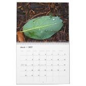 Natur-Foto Kalender (Mär 2027)