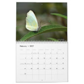 Natur-Foto Kalender (Feb 2027)