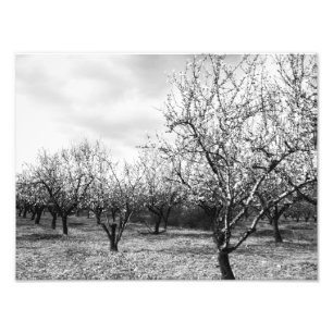 Natur Fotodruck
