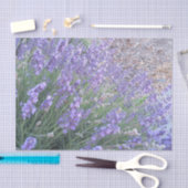 Natur-Fotografie des Seidenpapier (Handwerk)