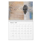 Natur-Fotografie-Kalender Kalender (Feb 2027)